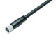 Binder 77-3506-0000-50004-0200 M8 Female cable connector, Contacts: 4, shielded, moulded on the cable, IP67, UL, PUR, black, 4 x 0.34 mm², 2 m | American Cable Assemblies