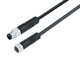 Binder 77-3406-3405-30003-0500 M8 Connecting cable male cable connector - female cable connector, Contacts: 3, unshielded, moulded on the cable, IP67/IP69K, UL, TPE, black, 3 x AWG 22, 5 m | American Cable Assemblies