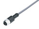 Binder 77-3430-0000-20003-0500 M12-A Female cable connector, Contacts: 3, unshielded, moulded on the cable, IP69K, UL, PVC, grey, 3 x 0.34 mm², 5 m | American Cable Assemblies