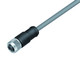 Binder 77-3530-0000-20704-0500 M12-A Female cable connector, Contacts: 4, shielded, moulded on the cable, IP67, UL, PVC, grey, 4 x 0.34 mm², 5 m | American Cable Assemblies