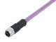 Binder 77-2530-0000-50705-0200 M12-A Female cable connector, Contacts: 5, shielded, moulded on the cable, IP67, UL, CAN-Bus, PUR, violet, 1 x 2 x AWG 22 + 1 x 2 x AWG 24, 2 m | American Cable Assemblies