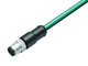 Binder 77-3529-0000-34708-0200 M12-A Male cable connector, Contacts: 8, shielded, moulded on the cable, IP67, Ethernet CAT5e, TPE, blue green, 4 x 2 x AWG 24, 2 m | American Cable Assemblies