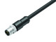 Binder 77-3529-0000-64708-0200 M12-A Male cable connector, Contacts: 8, shielded, moulded on the cable, IP67, Ethernet CAT5e, TPE, black, 4 x 2 x AWG 24, 2 m | American Cable Assemblies