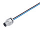 Binder 76-0831-0011-00008-0200 M12-A Male panel mount connector, Contacts: 8, unshielded, single wires, IP68, UL, M16x1,5 | American Cable Assemblies