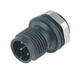 Binder 09-0431-81-04 M12-A Male panel mount connector, Contacts: 4, unshielded, solder, IP67, M12x0,5 | American Cable Assemblies