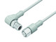 Binder 77-3730-3727-40403-0200 M12-A Connecting cable for food and beverage industry, Contacts: 3, unshielded, moulded on the cable, IP69K, Ecolab, FDA compliant, Special TPE, grey, 3 x 0.34 mm², stainless steel, 2 m | American Cable Assemblies