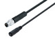 Binder 79-5060-10-03 Connecting Cables Connecting cable, Contacts: 3, unshielded, moulded on the cable, IP65, PUR, black, 3 x 0.25 mm², 1 m | American Cable Assemblies