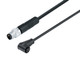 Binder 79-5062-10-03 Connecting Cables Connecting cable, Contacts: 3, unshielded, moulded on the cable, IP65, PUR, black, 3 x 0.25 mm², 1 m | American Cable Assemblies