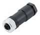 Binder 99-0690-19-04 M12-S Female cable connector, Contacts: 3+PE, 8.0-10.0 mm, unshielded, screw clamp, IP67, UL, VDE | American Cable Assemblies