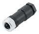 Binder 99-0630-19-04 M12-T Female cable connector, Contacts: 4, 8.0-10.0 mm, unshielded, screw clamp, IP67, UL, VDE | American Cable Assemblies