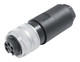 Binder 99-2444-42-05 7/8" Female cable connector, Contacts: 4+PE, 12.0-14.0 mm, unshielded, screw clamp, IP67, UL, VDE | American Cable Assemblies