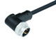 Binder 77-1427-0000-50005-0500 7/8" Male angled connector, Contacts: 5, unshielded, moulded on the cable, IP68, UL, PUR, black, 5 x 1.50 mm², 5 m | American Cable Assemblies