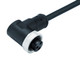 Binder 77-1434-0000-50005-0200 7/8" Female angled connector, Contacts: 5, unshielded, moulded on the cable, IP68, UL, PUR, black, 5 x 1.50 mm², 2 m | American Cable Assemblies