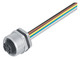 Binder 09-2446-100-03 7/8" Female panel mount connector, Contacts: 2+PE, unshielded, single wires, IP68, UL, VDE, front fastened | American Cable Assemblies