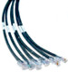 25 Pair Telco Cat 3 Hydra Cable 6 Legs RJ45 To 50 POS Male