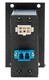 Camplex HYMOD-2R24 45 Degree SMPTE FXW Plug to 2 LC Fiber & 6-Pin AMP for 2RU HYMOD Systems