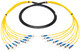 Camplex CMX-TS08ST-0010 8-Channel ST Single Mode Fiber Optic Tactical Snake 10 Foot | American Cable Assemblies