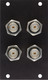 Camplex HYMOD-2R09 4 BNC Feedthru Module for 2RU HYMOD Systems