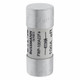 Bussmann FWP-100A22F High Speed Fuse