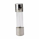 Bussmann GMC-100-R Time Delay Fuse | American Cable Assemblies