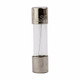 Bussmann GMC-2-R Time Delay Fuse | American Cable Assemblies