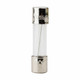 Bussmann GMC-6-R Time Delay Fuse | American Cable Assemblies