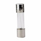 Bussmann GMC-8-R Time Delay Fuse | American Cable Assemblies
