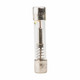 Bussmann MDQ-10 Time Delay Fuse | American Cable Assemblies