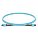MTP®-F to MTP®-F UPC Trunk Cable, OM4 Plenum Type A, 12 Fibers, TAA Compliant - Made in USA
