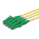 4-Fiber LC UPC to LC APC Multi-Fiber Indoor Micro Distribution Cable, Single Mode OS2, 2.0mm leads, Plenum, TAA Compliant - Made in USA