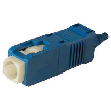 新品 echo & Synchro jelly 41YsUk9LIWL._UF894,1000_QL80_.jpg