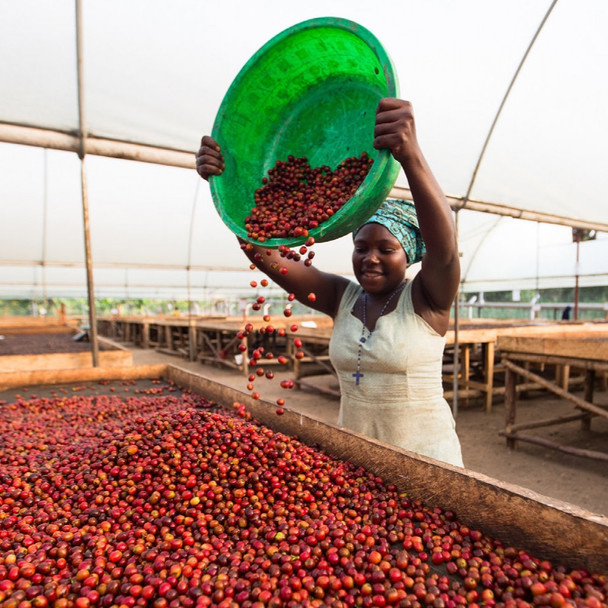 Uganda Coffee at Kisinga Station