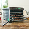MightyBite 6 Tray Dehydrator