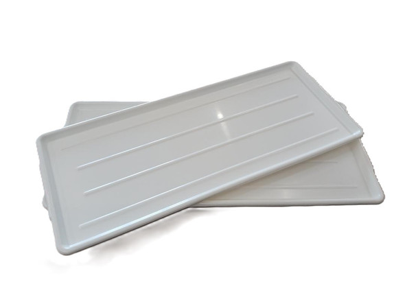 White Platter