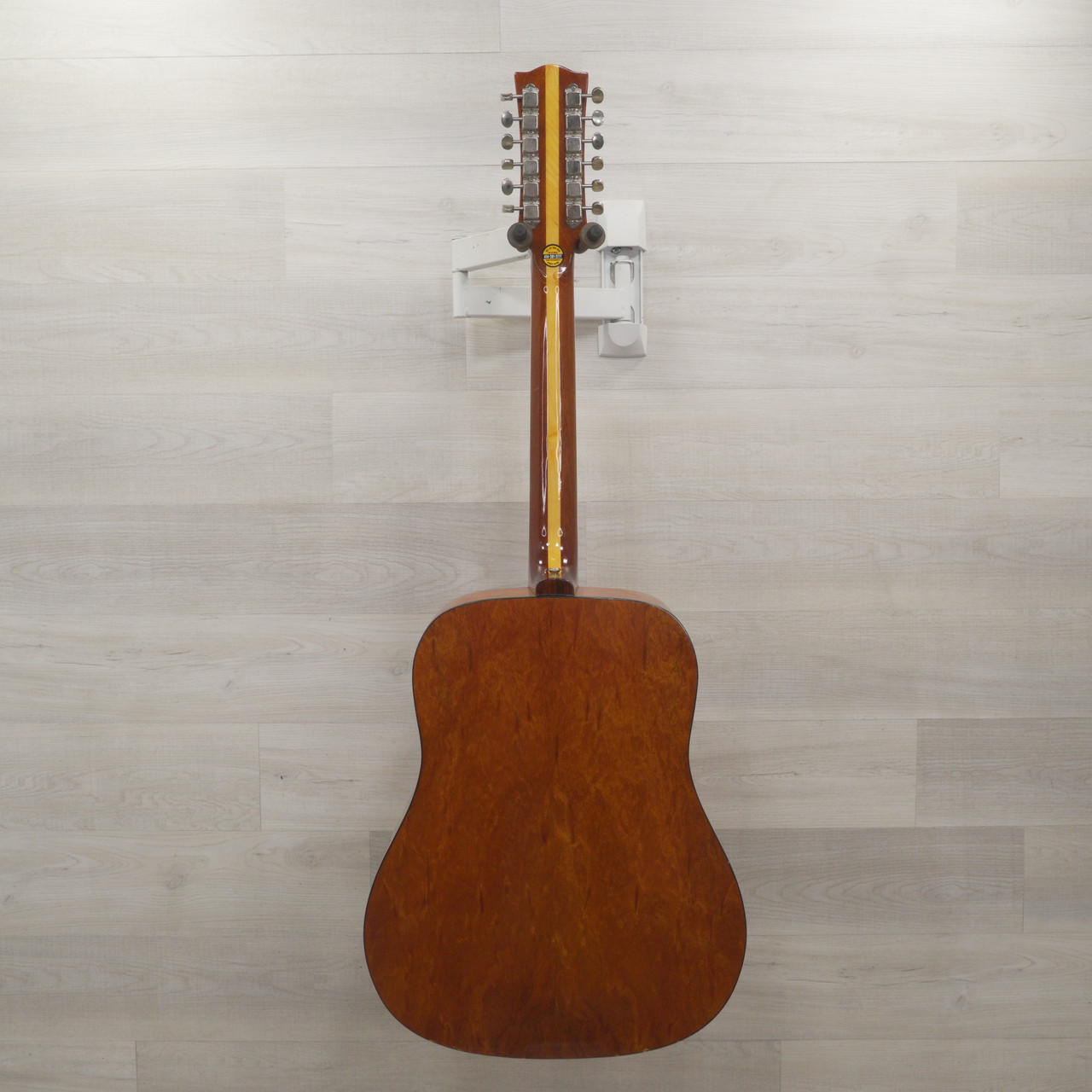 Eko rio bravo 12 string guitar 2025