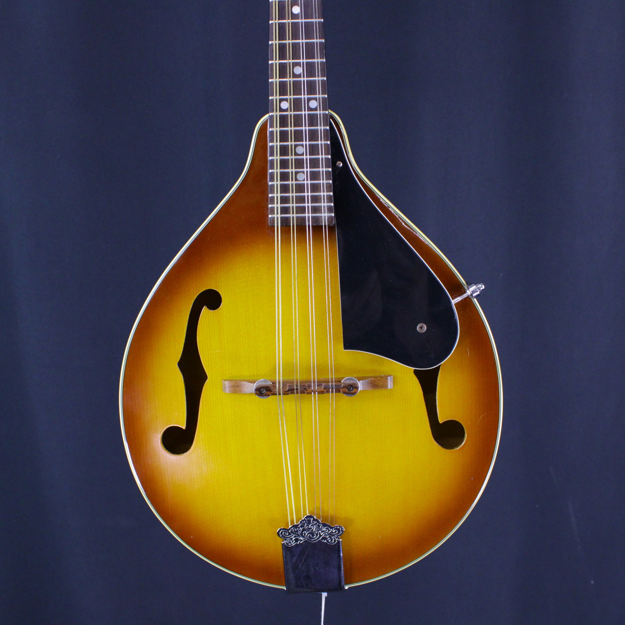 Used Aria Pro AM200 MANDOLIN Mandolin