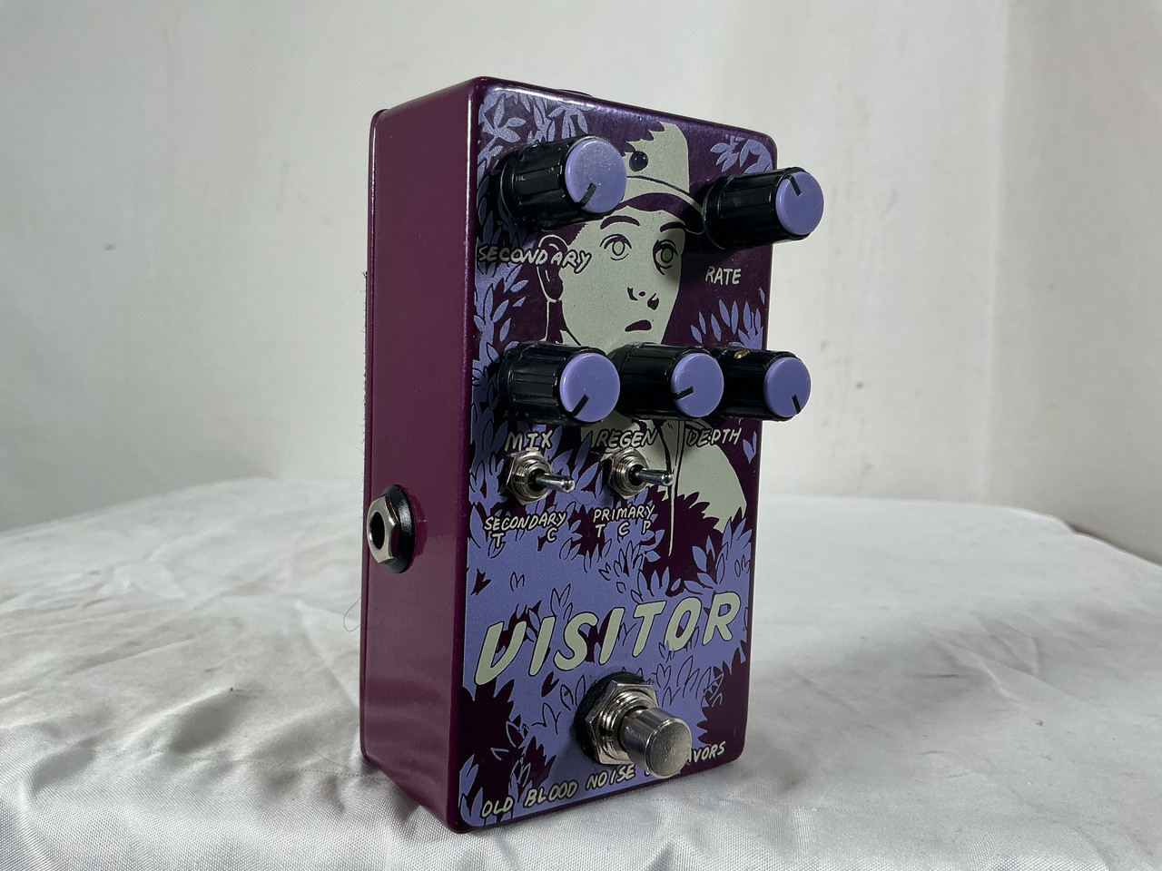 Used OLD NOISE BLOOD ENDEAVORS VISITOR Multi-FX Pedal