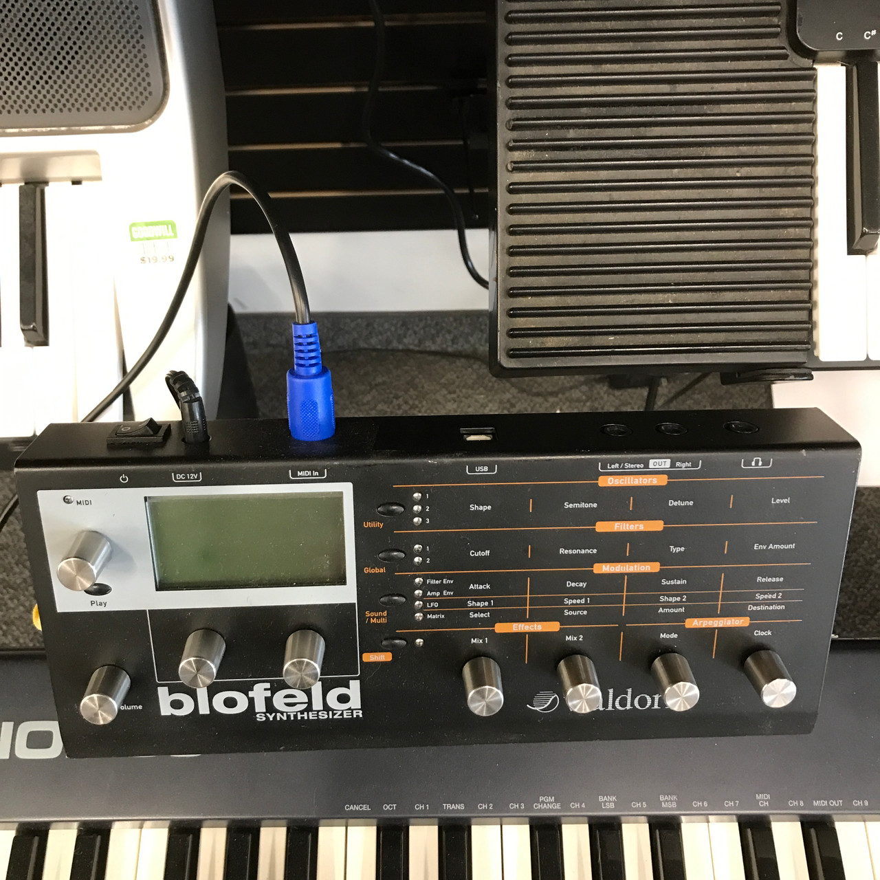 Used Waldorf BLOFELD Compact Synthesizer Compact