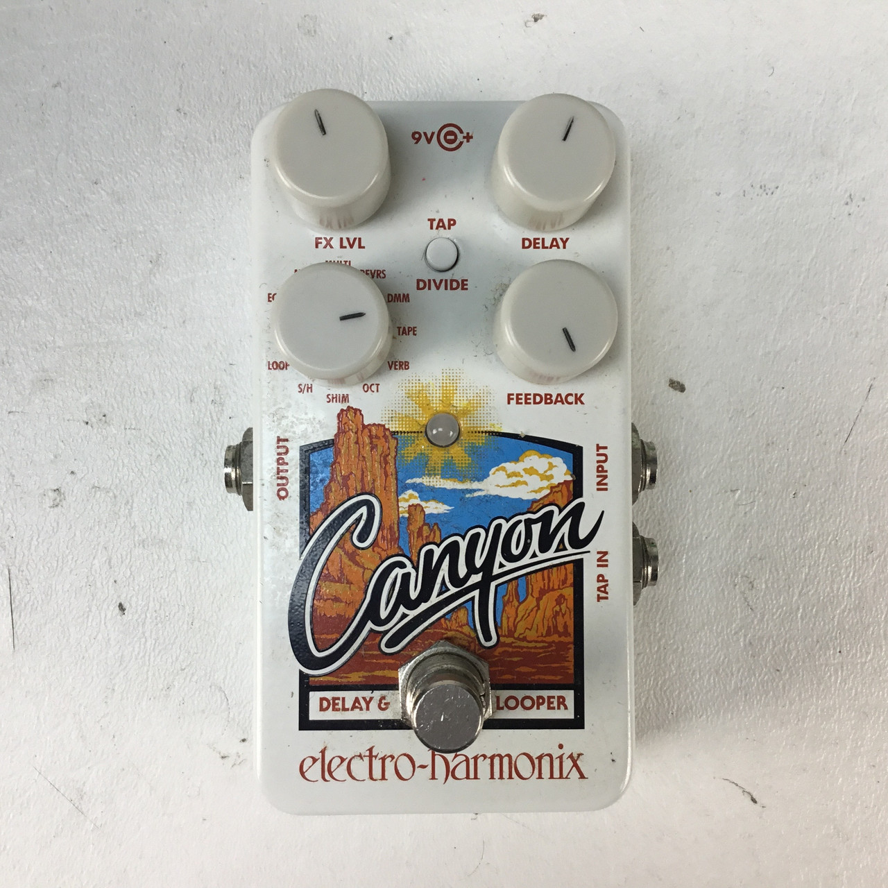 エレハモ ディレイ canyon 【公式通販】