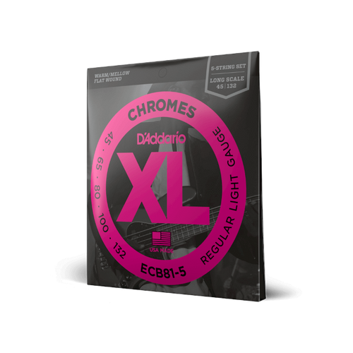 Vist Large View of Product Image Which is New D'Addario ECB81-5 Flatwnd guitar strings