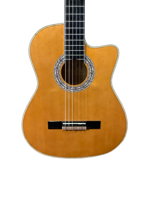 Used Esteban GRANADA G-100 Acoustic Guitar Wood 40083-S000150474