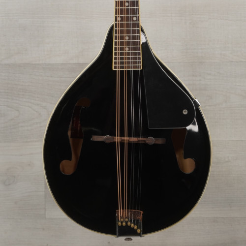 Used Rogue RM100A Mandolin Black 40015-S000323769