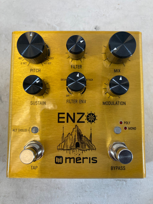 Used Meris Enzo Modulation Pedal 41127-S000056286