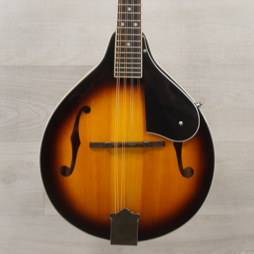 Vist Large View of Product Image Which is Used Washburn M1S Mandolin