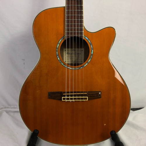 Vist Large View of Product Image Which is Used Ibanez AEG10 CLASSICAL Laminate Top Acoustic Guitar Wood