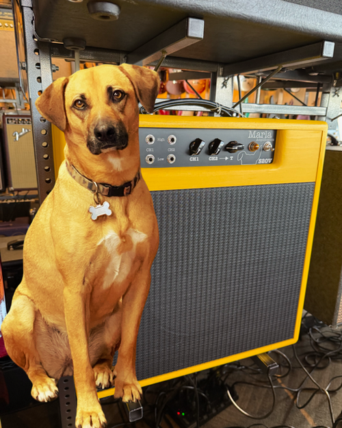 NEW MARLA S20V NEW GUITAR AMP "ZOE" 1 x 12 Tube Combo Amplifier 1 x 12 40123-S000130058