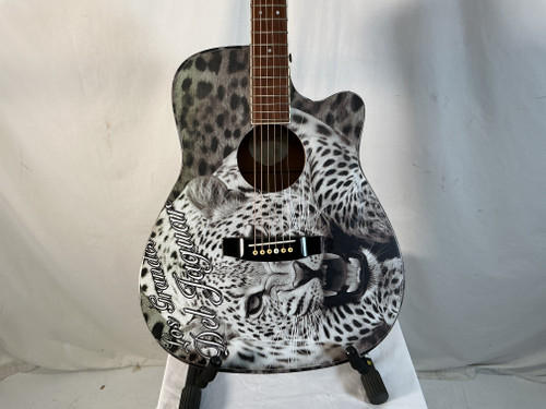 Used Takamine CUSTOM GRAPHICS TAKAMINE EG-334RC Laminate Top Acoustic Guitar Custom Graphics 40012-S000303965