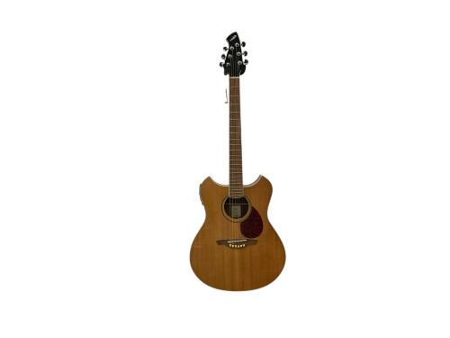 Vist Large View of Product Image Which is Used Wechter 3120T Laminate Top Acoustic Guitar Natural 40009-S000307137