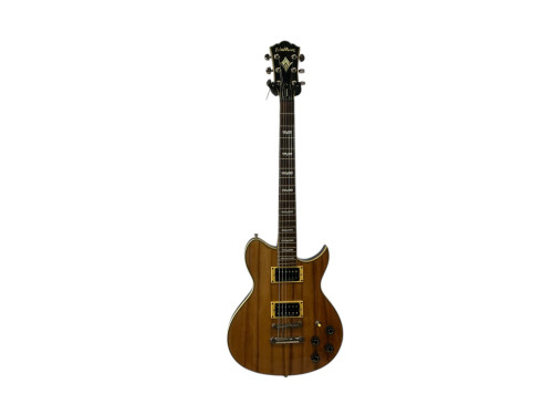 Vist Large View of Product Image Which is Used Washburn WI66PRO LP Type Electric Guitar Honey Burst 6-String 40009-S000307179