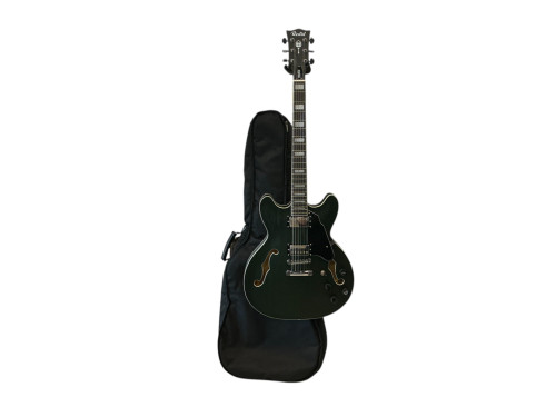 Vist Large View of Product Image Which is Used REDID SEMI HOLLOW Semi-Hollow Electric Guitar Green 6-String 40009-S000307210